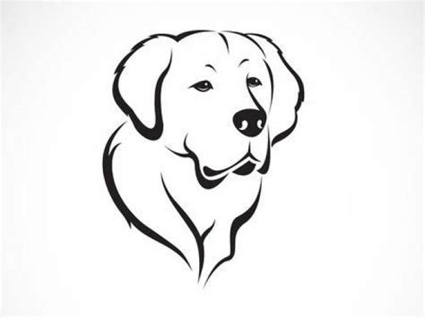 Labrador Line Drawing At Explore Collection Of