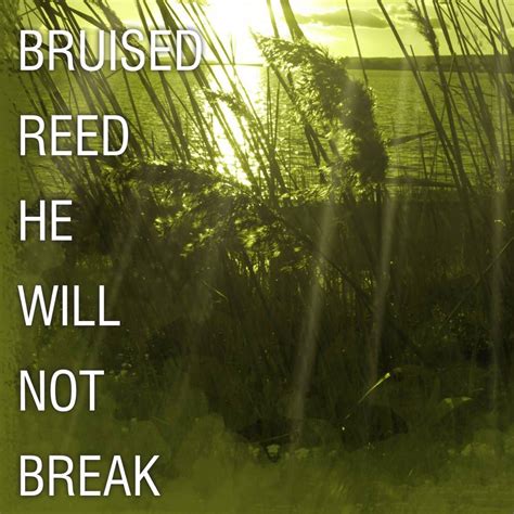 A Bruised Reed He Will Not Break Addiction To Redemption