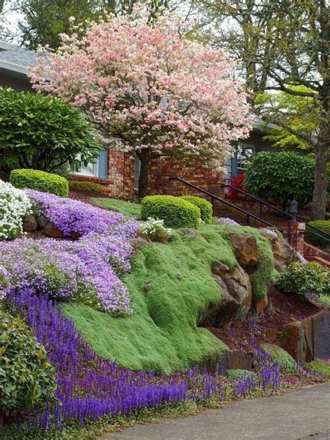 Simple Low Maintenance Front Yard Landscaping Ideas