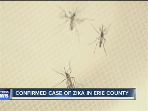 Woman Has 1st Case Of Zika Virus In Erie County