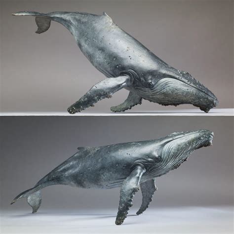 Once on the brink of extinction, the humpback whale has now almost completely recovered. Humpback Whale, by Nick Bibby - 1/20th scale Bronze Whale ...