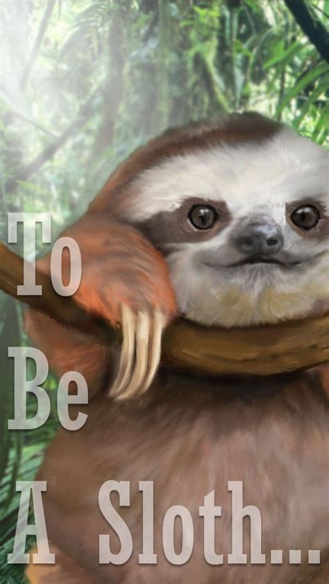 Sloth Wallpaper Made By Request Because Why Not Iphone 5 Wallpaper Iphone 5 Wallpaper Cool
