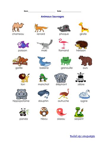 Animaux Sauvages Vocabulaire Teaching Resources