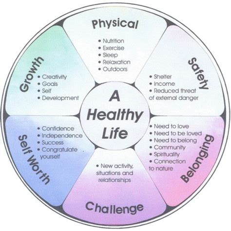 Wellness Wheel Creations Mind Body Wellness Wheel Emotional Health