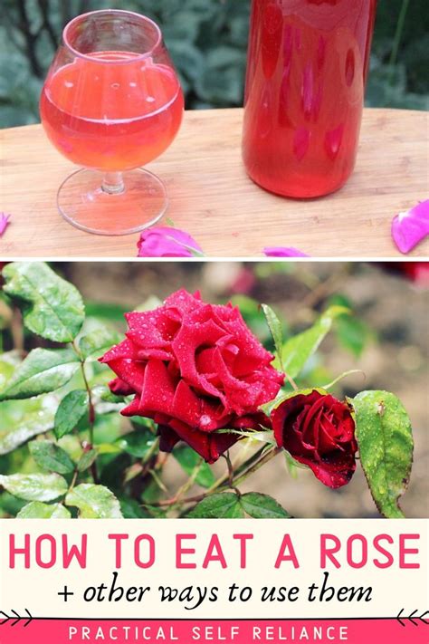 How To Eat A Rose And Other Ways To Use Them Edible Flowers Recipes