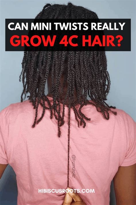 11 Ways Mini Twists Grow 4c Natural Hair Hibiscus Roots