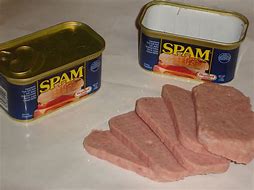 Image result for photos of  canned spam