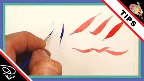 Watercolour Brush Strokes Techniques Practising Watercolor