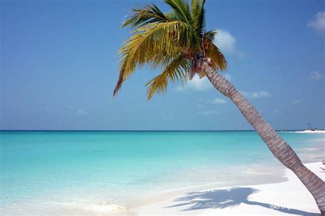 Playa Paraiso Beach Cayo Largo Cuba Cuba Beaches Famous Beaches