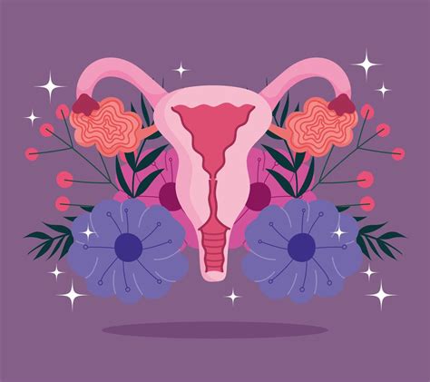 Female Human Reproductive System Flowering Human Womb 2777760 Vector