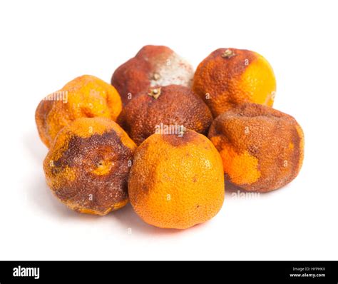 Rotten Oranges Hi Res Stock Photography And Images Alamy