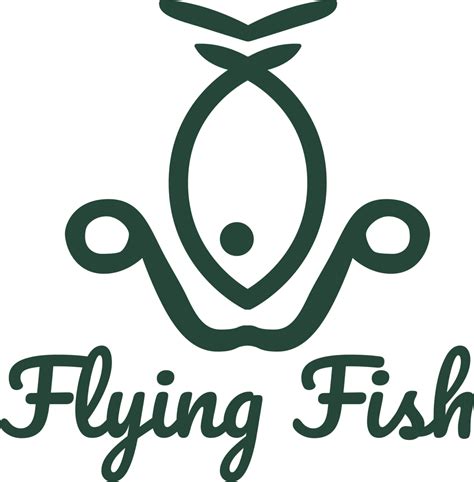 Flying Fish Efoils Het Nummer 1 Efoil Platform Van Nederland