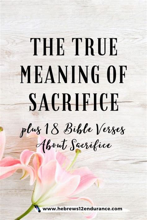 True Meaning Of Sacrifice 18 Bible Verses About Sacrifice Hebrews