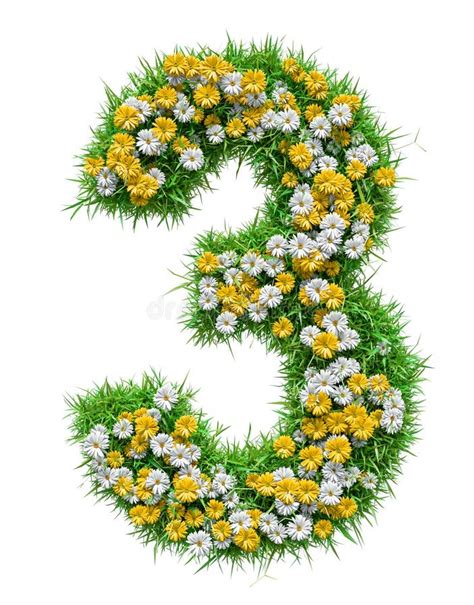 Number 3 Of Green Grass And Flowers Stock Illustration Illustration