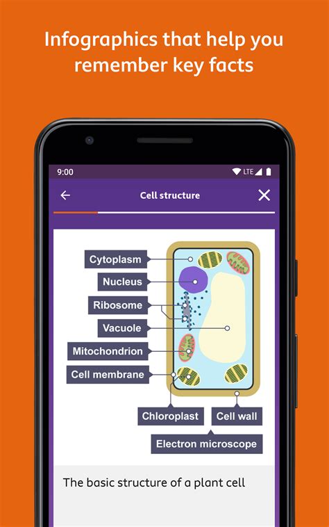 Bbc Bitesize Revision Uk Appstore For Android