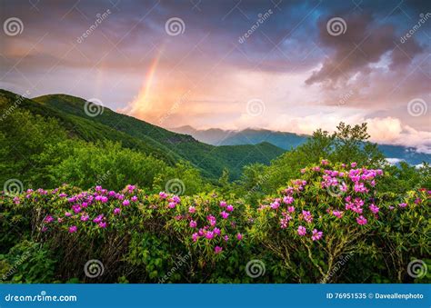Appalachian Mountains Scenic Spring Flowers Landscape Blue Ridge Stock