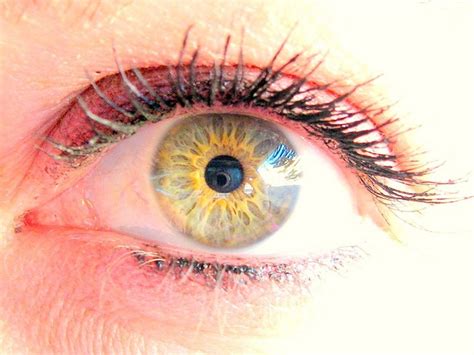 Macro Eye With Camera Reflecting In Pupil By Jeneyepher Via Flickr