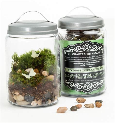 Diy mossariums for various plants i'm sharing these mini diy plant terrarium ideas with you so you can go ahead and try your hand at. Enchanted Garden DIY Moss Terrarium Kit # ...