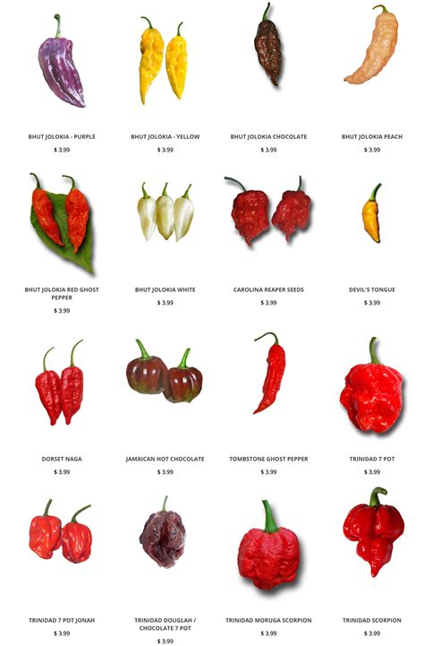 Hot Pepper Seeds Collectionshottest Pepper