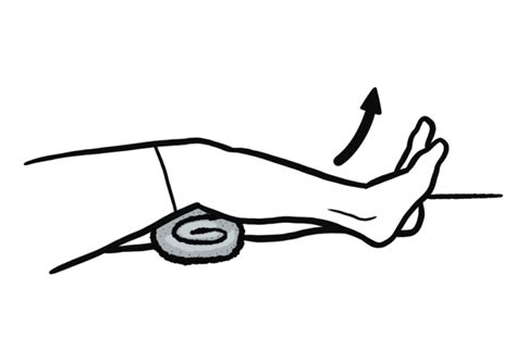 Video ️ Knee Extension Over Roll Exer Pedia