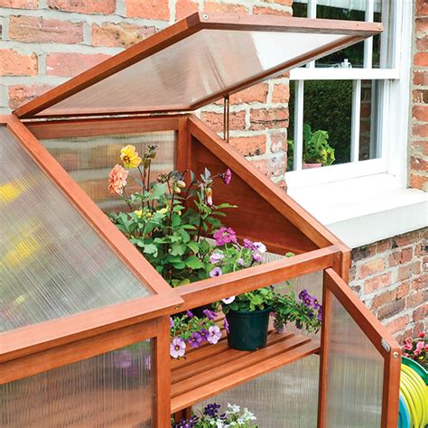 Buy Mini Greenhouse Delivery By Crocus