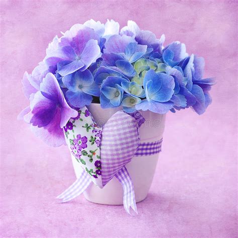 Beautiful Hydrangea Flowers In A Vase On A Table Bouquet Of Light
