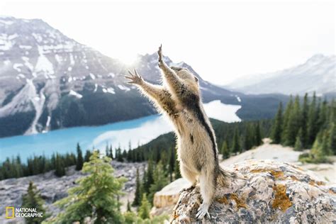 These National Geographic Photo Contest Entries Are Breathtaking Sfgate