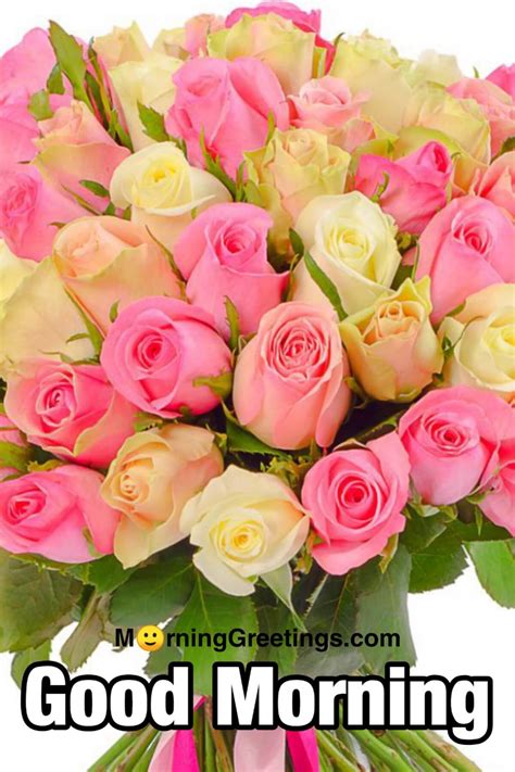 Yellow Rose Flower Good Morning Images Best Flower Site