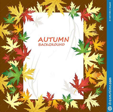 Blank Paper On Autumn Background With Different Kind Of Leaves Stock