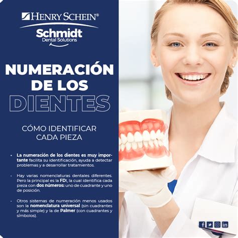 La numeración de los dientes un procedimiento básico para identificar