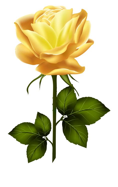 Free Long Stem Rose Png Download Free Long Stem Rose Png Png Images Free ClipArts On Clipart