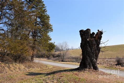 Leaving Dairy Road Photograph By Katherine W Morse Fine Art America