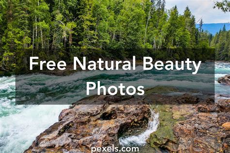1000 Great Natural Beauty Photos · Pexels · Free Stock Photos