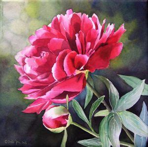Flower Painting Peony Pink Magenta Peony Watercolor Blumengem Lde