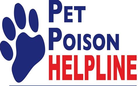 The operator may take your question, and begin to research the answer. What Should I Do If My Dog Is Poisoned | Pets, Pet safe ...