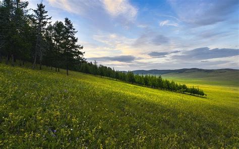 Meadow In Mongolia Nature Mongolia Landscape Meadow Hd Wallpaper