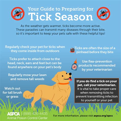 Your Guide To Preparing For Flea And Tick Season
