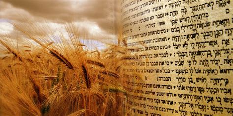 Shavuot pictures | jewish holiday of shavuot (pentecost) 2012: Shavuot 5778/2018 - Asambleas Judío Mesiánicas Beit Meshobeb