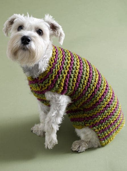 City Stripes Dog Sweater Pattern Knit Lion Brand Yarn
