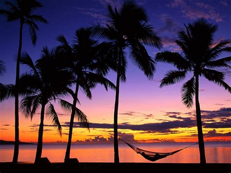 3840x2160 Resolution Silhouette Of Coconut Trees With Hammock Near