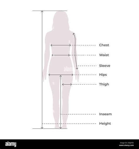 Woman Female Body Measurement Proportions For Clothing Design And Sewing Chart For Fashion