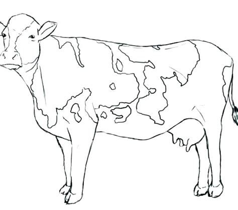 Dairy Cow Coloring Pages At Getdrawings Free Download