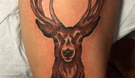 Top 15 Deer Thigh Tattoo Designs And Ideas Petpress