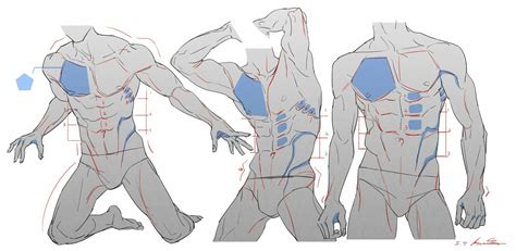 Muscular Male Body Drawing Reference You Can Use The Rectangle Made For