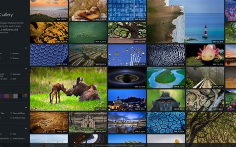 Free Download Bing Screensaver That Changes Each Day Photo