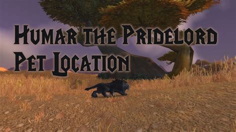 They also generate more threat and have faster attack speed. Humar the Pridelord | RARE Elite Hunter Pet Location ...