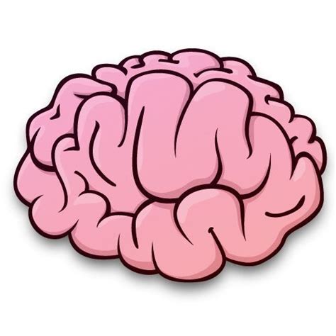 Pink Brain Clipart For Kids 10 Free Cliparts Download Images On