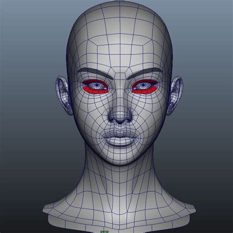 D Girl Head Model Face Topology Maya Modeling Character Modeling