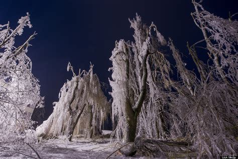 11 Surreal Photos From Slovenias Worst Ice Storm In Living Memory
