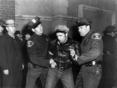 Marlon Brando The Wild One 1953 À Découvrir